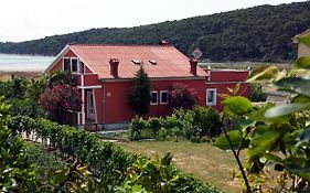 Apartment Kampor 4972B
